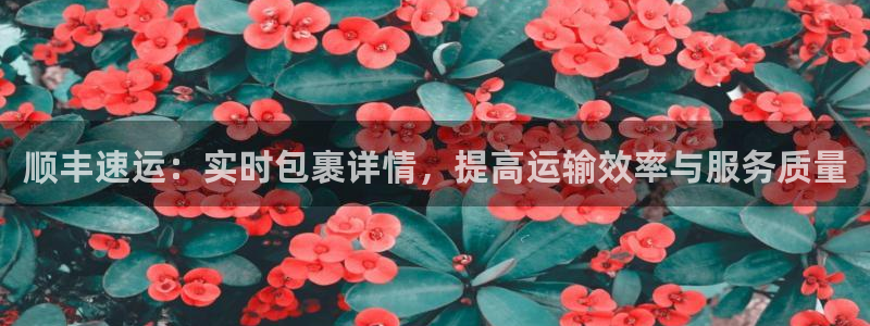豪门国际加拿大2.8预测在线预测：顺
