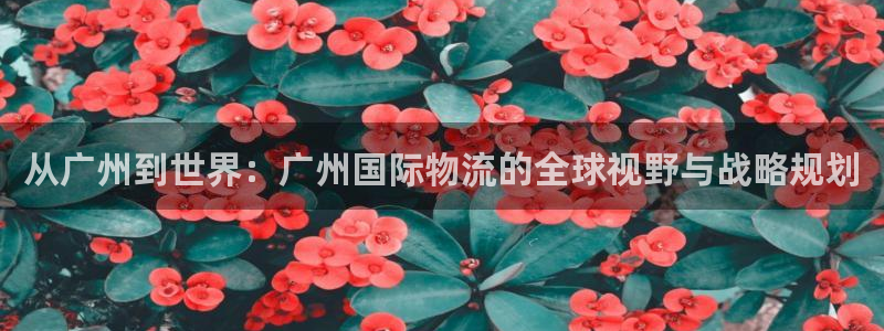 豪门国际昵称：从广州到世界：广州国际