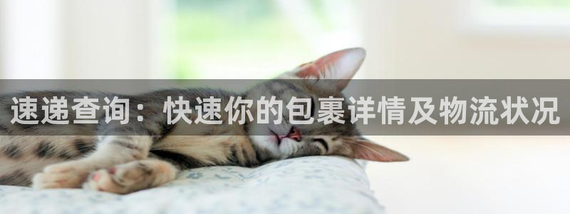 豪门国际充值金额随便：速递查询：快速