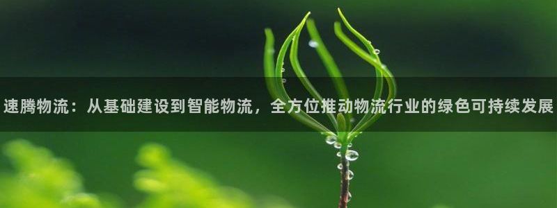 豪门国际pg麻将胡了：速腾物流：从基