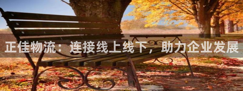 豪门国际圈：正佳物流：连接线上线下，