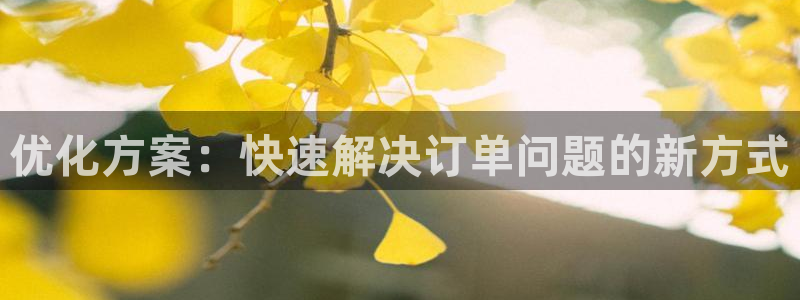豪门国际官网入口o：优化方案：快速解