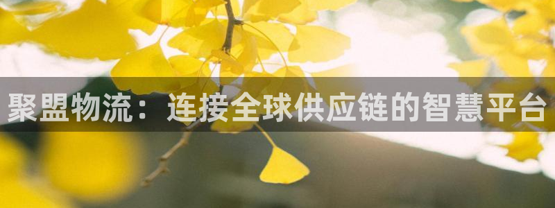 豪门国际app能退款吗：聚盟物流：连