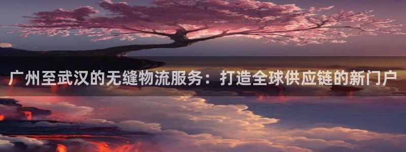 豪门国际最稳打法：广州至武汉的无缝物