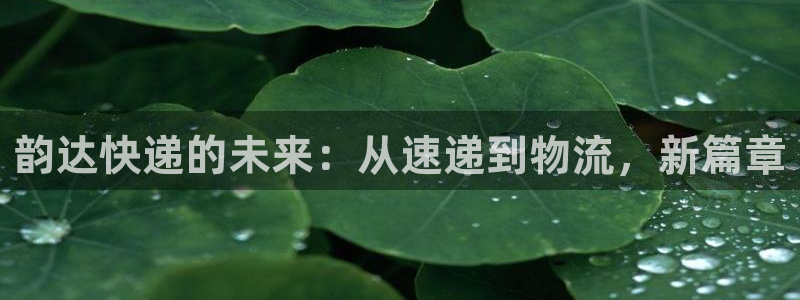 豪门国际怎么注册游戏名字：韵达快递的