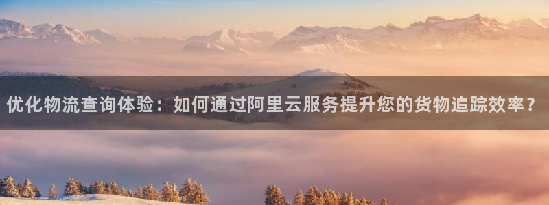 豪门国际圈助手：优化物流查询体验：如