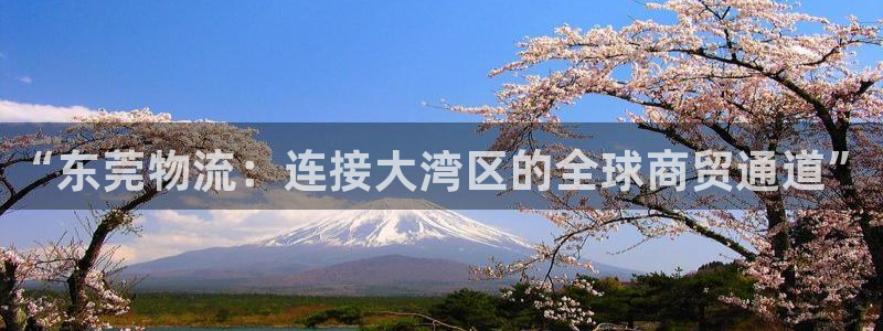 豪门国际头像