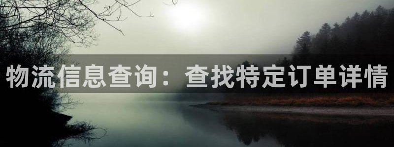 豪门国际怎么注册：物流信息查询：查找