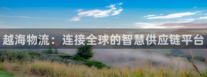 豪门国际分分压单双技巧：越海物流：连