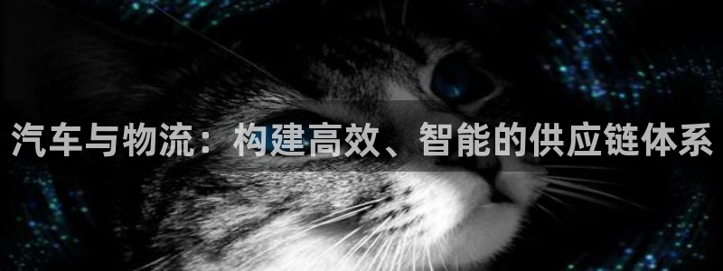 豪门国际加拿大app预测：汽车与物流