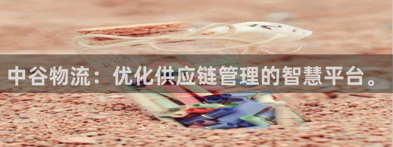 豪门国际昵称：中谷物流：优化供应链管