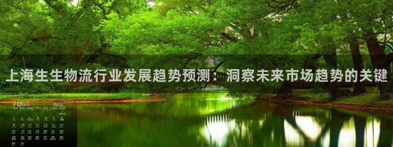 豪门国际自行车图片大全：上海生生物流