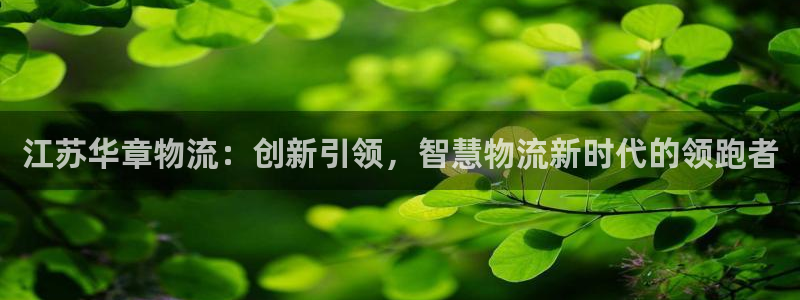 豪门国际里的财神：江苏华章物流：创新