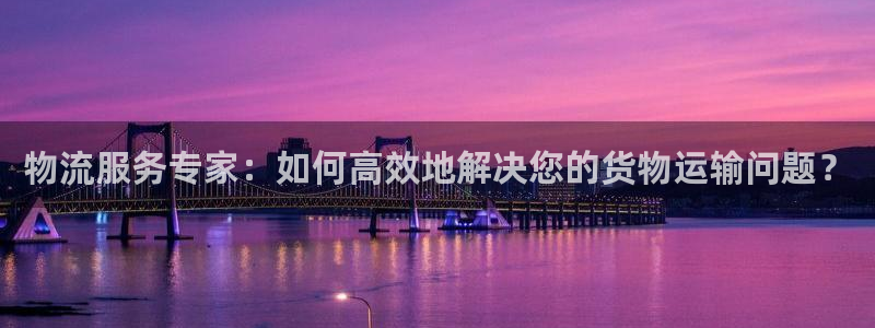 豪门国际加拿大预测：物流服务专家：如何高效地解决您的货物运输