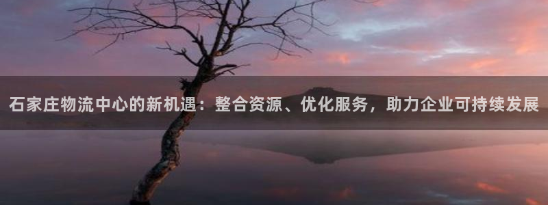 豪门国际注册网页：石家庄物流中心的新机遇：整合资源、优化服务